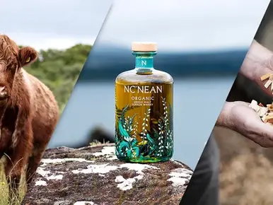 Sustainable Spirits: Global Best Practices in Whisky Production | Industry Report 2025