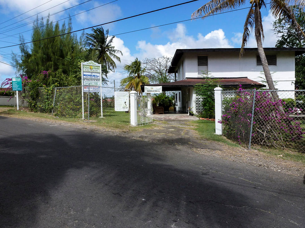 Creative Health Centre Entrance