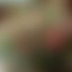 Transform Your Wedding Venue with Affordable Creative DIY Projects You Won't Believe!