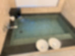 IMG_0559.jpeg