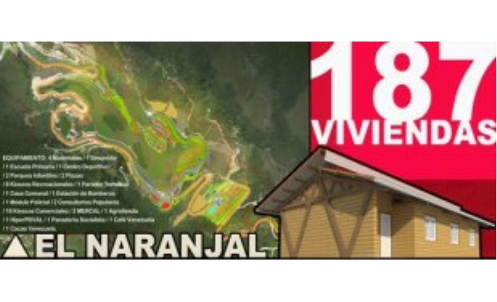 naranjal.jpg