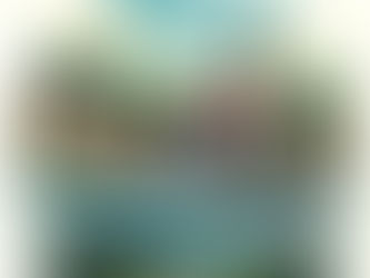 River Cruising...Is It For You?