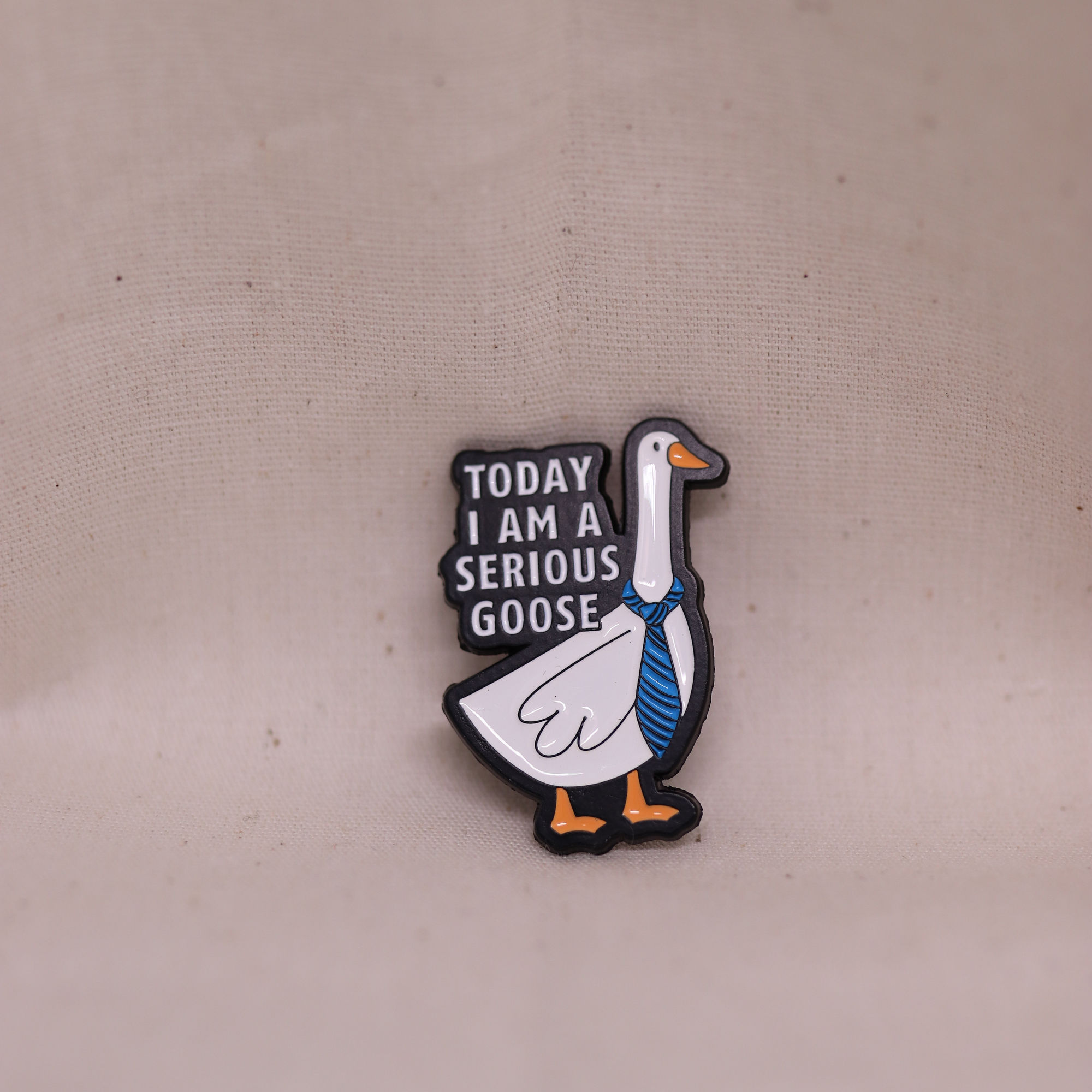 Today I am a serious goose