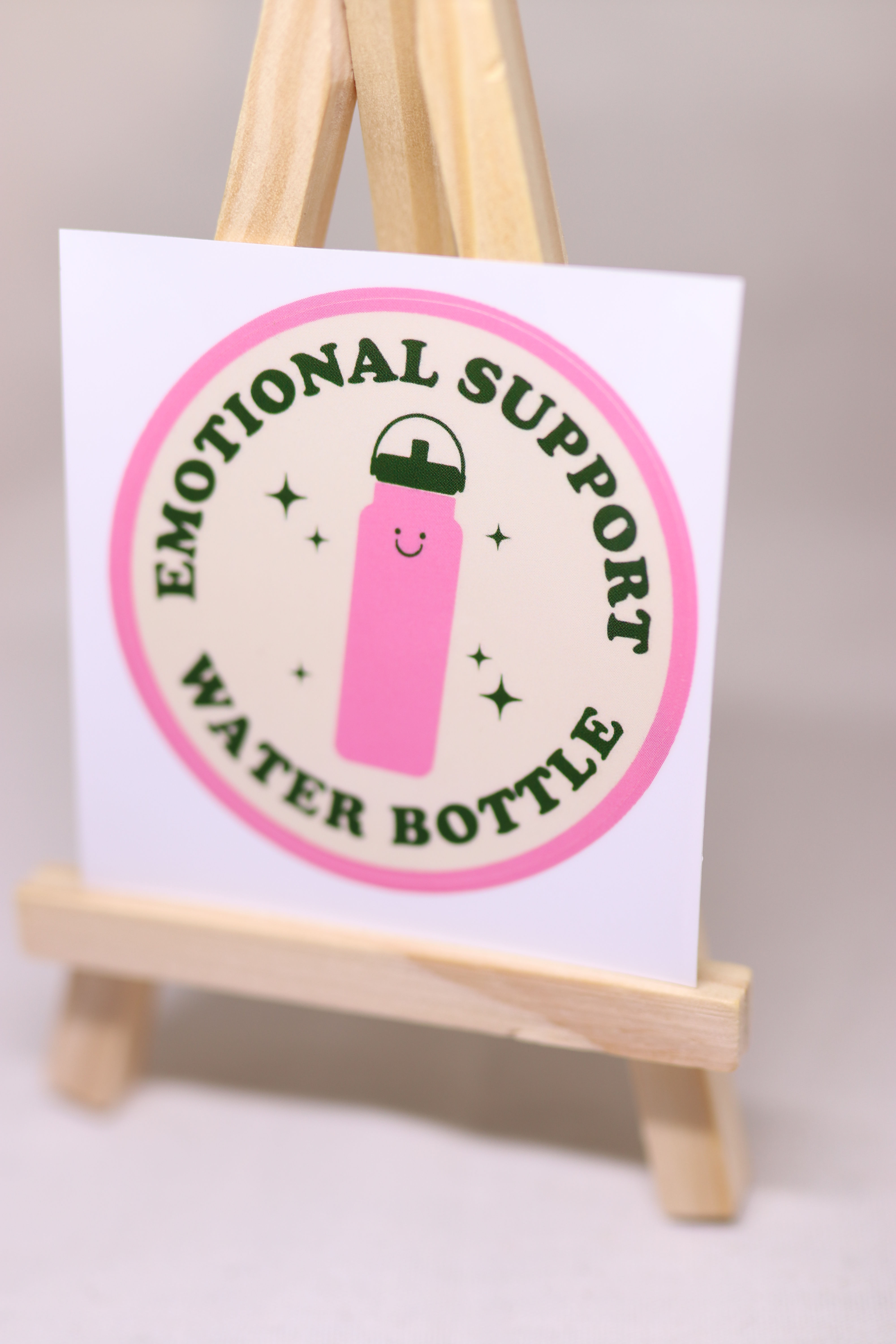 Emotional support water bottle 