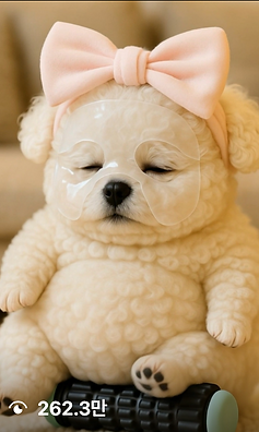 262만 김뽀송.png