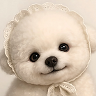 KakaoTalk_Photo_2025-10-27-17-58-57.png