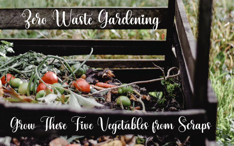 Zero-Waste-Gardening.webp