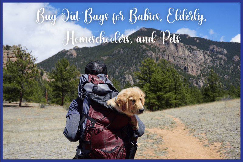 Bug-Out-Bags-for-Babies-Elderly-Homeschoolers-and-Pets (1).webp
