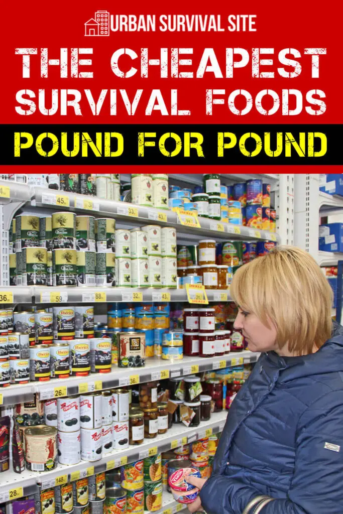 the-cheapest-survival-foods-pound-for-pound-pin-1-683x1024.webp