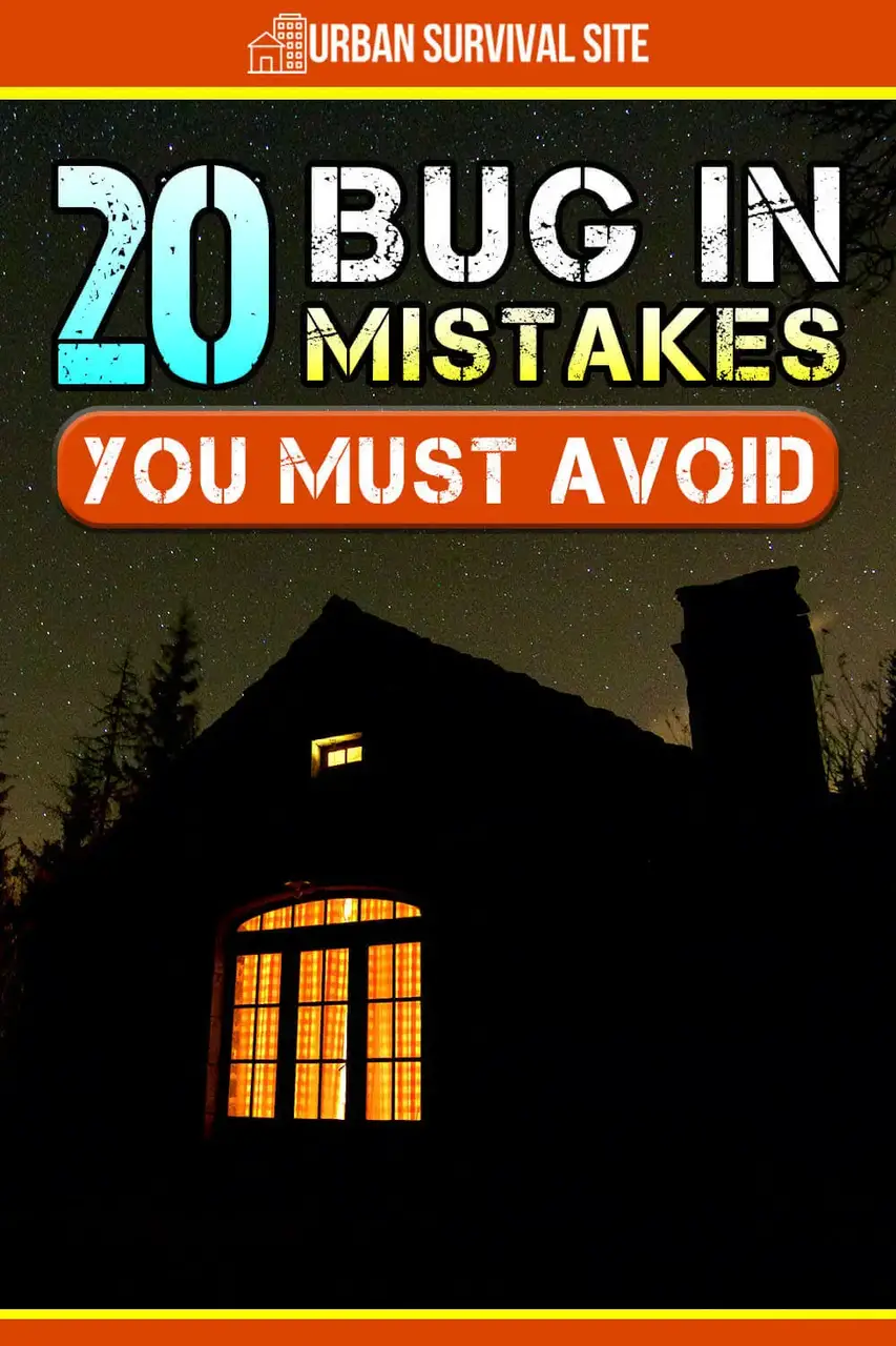 20-bug-in-mistakes-you-must-avoid.webp