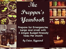 Z LLRI Preppers Book.jpg