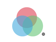 logo 41.png