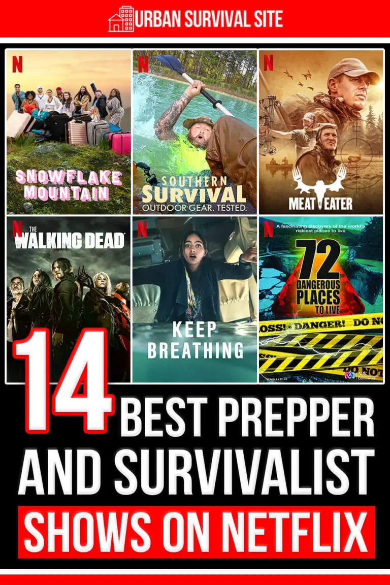 14-best-prepper-and-survivalist-shows-on-netflix.webp