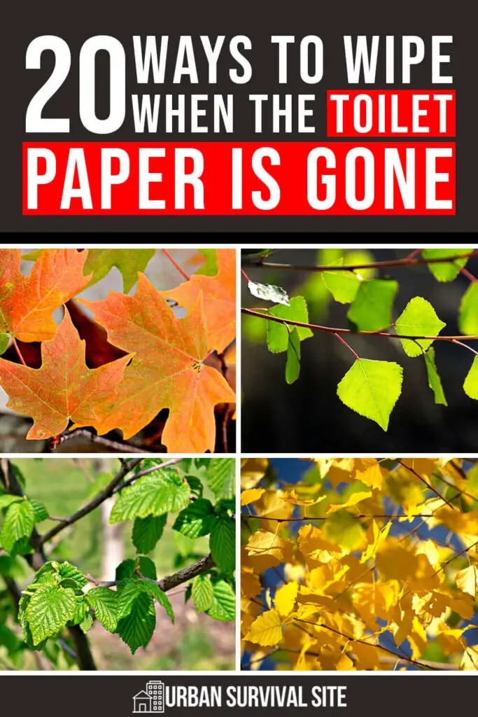 20-ways-to-wipe-when-the-toilet-paper-is-gone-pin-1-683x1024.webp