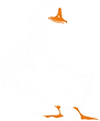 Резервная_копия_карта.png