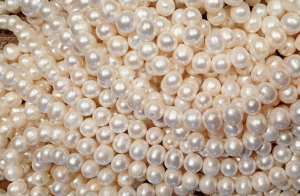 _ (1)_edited_edited.jpg