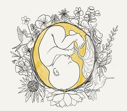 Flyer cursos y charlas (1).png