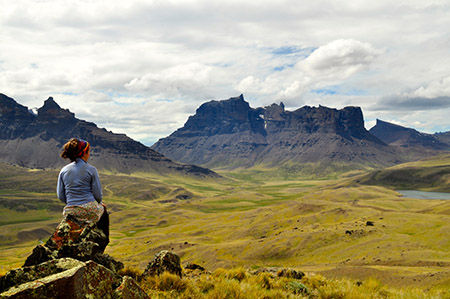 What Season of Life Are You In? Discover the Flower Essences That Can Support This Phase Of Your Journey