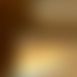 Explore pee pee poo poo. Gobble gool 