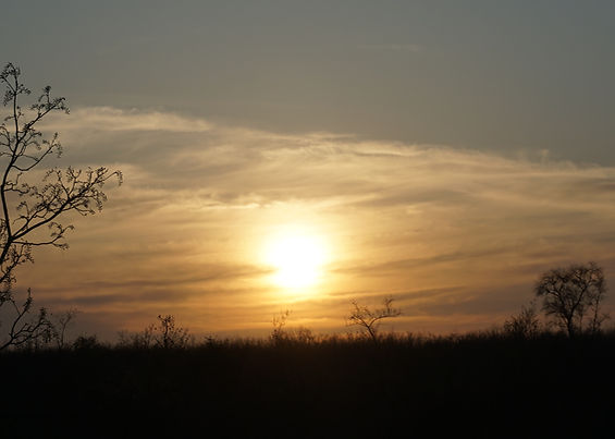 DSC01293.JPG