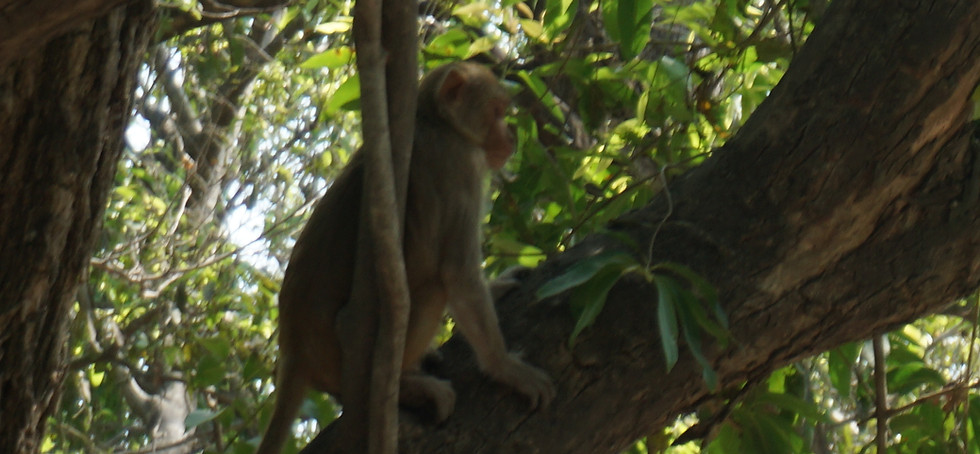 DSC02559.JPG
