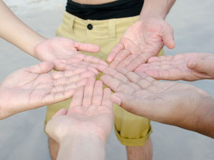 Une histoire de co-apprentissage !