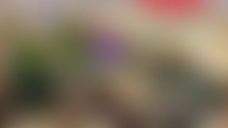 A LONDON FESTIVAL FOR ALL!