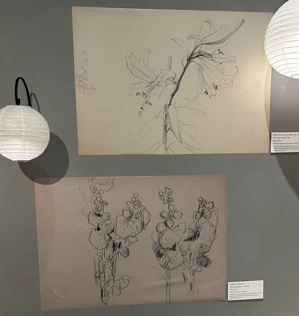 Sketches by John Singer Sargent at the Worcester Museum and Art Gallery Exhibition