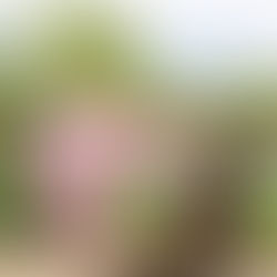 HOW ARTISTS CLUBHOUSE IS USING COLLABORATION TO BRIGHTEN UP THE LOCAL COMMUNITY.