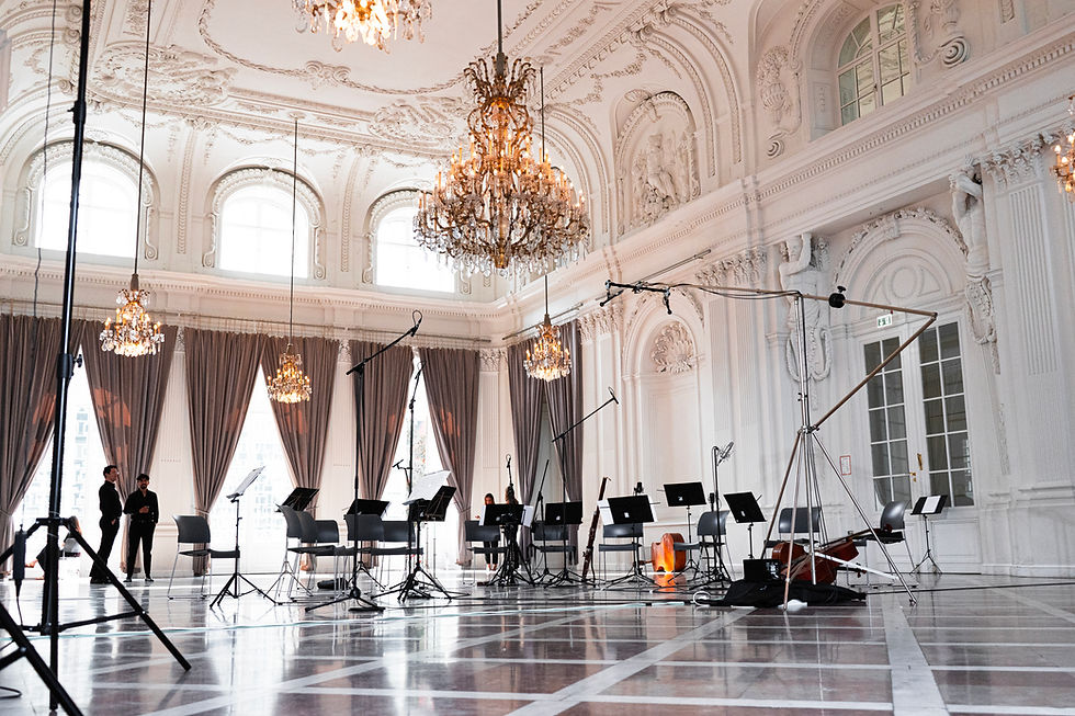 Picture of a big room with classical aesthetic and microphones
