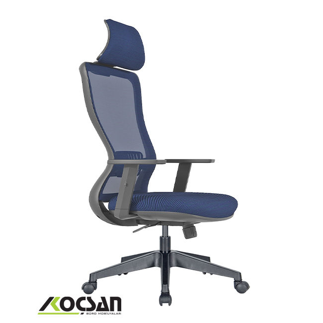 Arya fileli müdür koltuğu 2