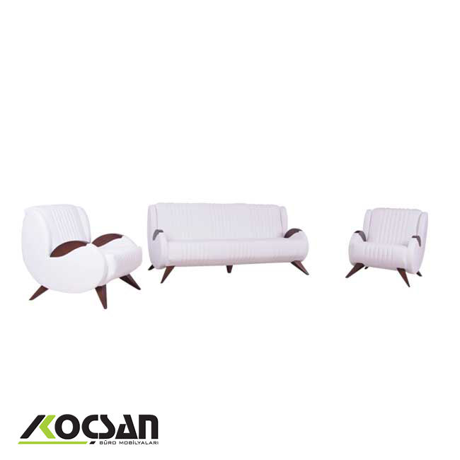 Elips ofis kanepe takımı beyaz 3