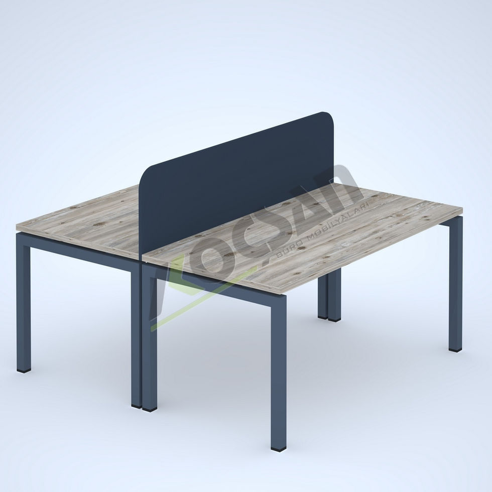 Flora workstation 2'li çoklu çalışma masası