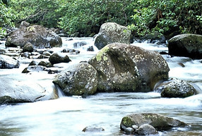 Gentle Stream_edited.jpg