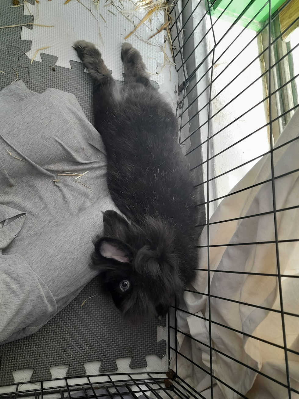 WhatsApp Image 2025-12-05 at 11.44.41