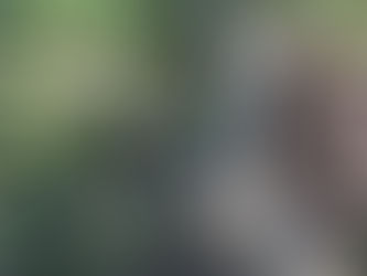 Utiliser l’IA m’interdit-il de m’émerveiller du vivant ?