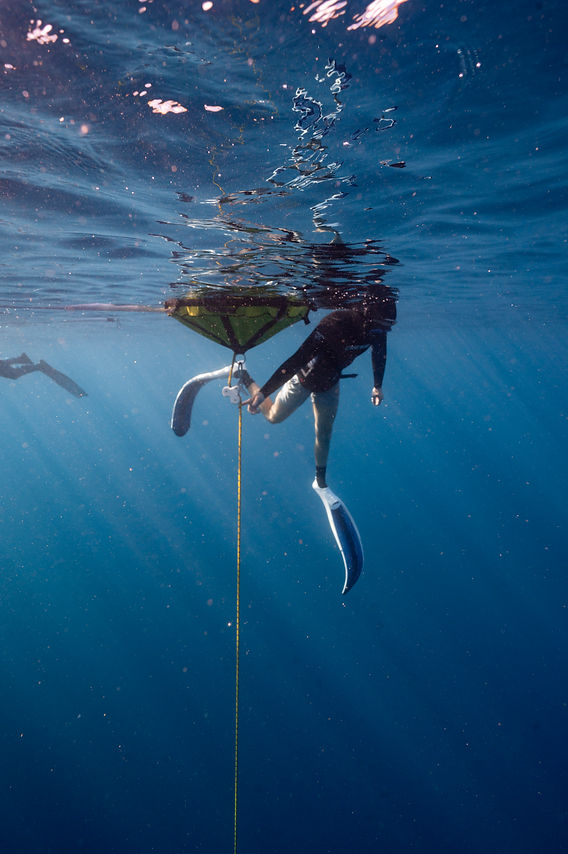 How freediving is used in spearfishing