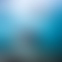 How To Safely Dive with Sharks