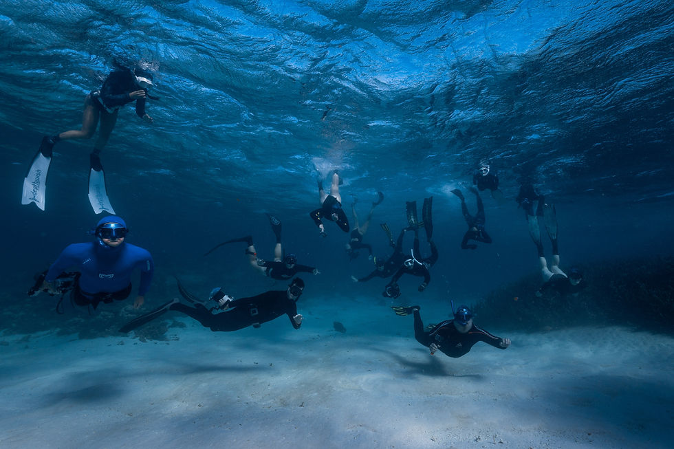 Thumbnail: Snorkel Instructor Course / Snorkel Guide Course