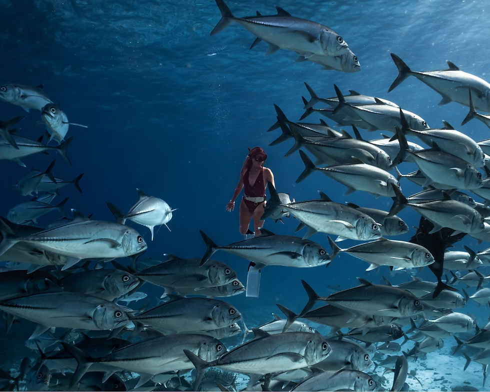 Thumbnail: Underwater Photography Course