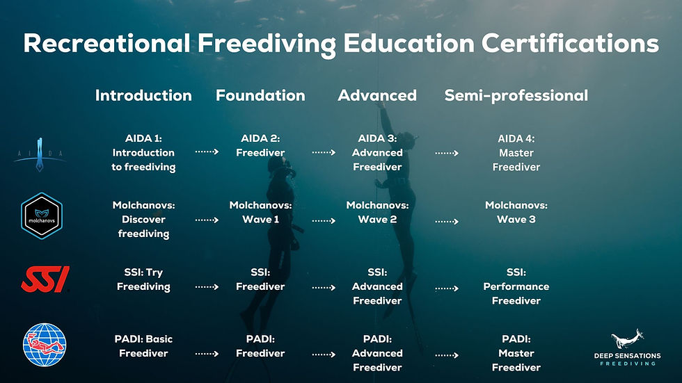 The Ultimate Guide to Freediving Certifications: Choosing the right path