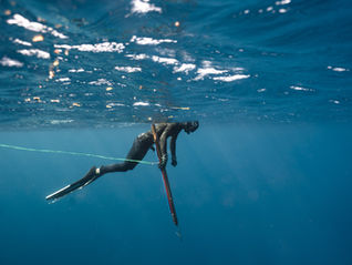 Best Wetsuits for Spearfishing