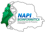 Logo-NAPI(1).png