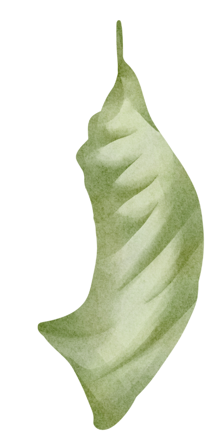 33.png