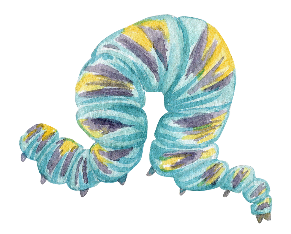 27.png