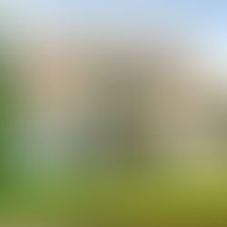 Navigating Canada’s ‘Foreign Buyers’ Ban’: Impact and Implications