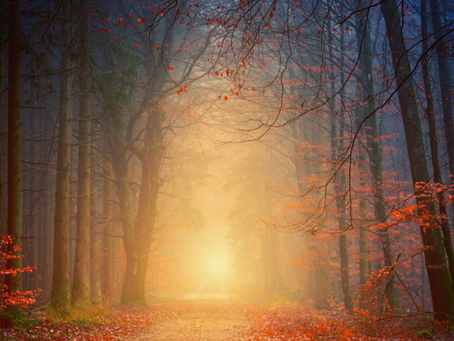 La difficoltà di perdonare e chiedere perdono.