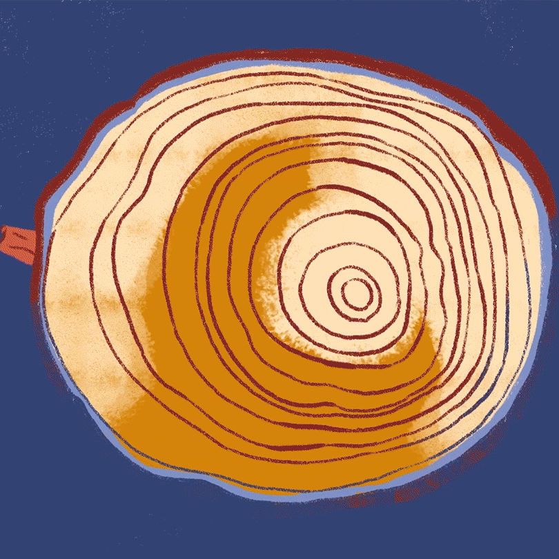 editorial2.gif