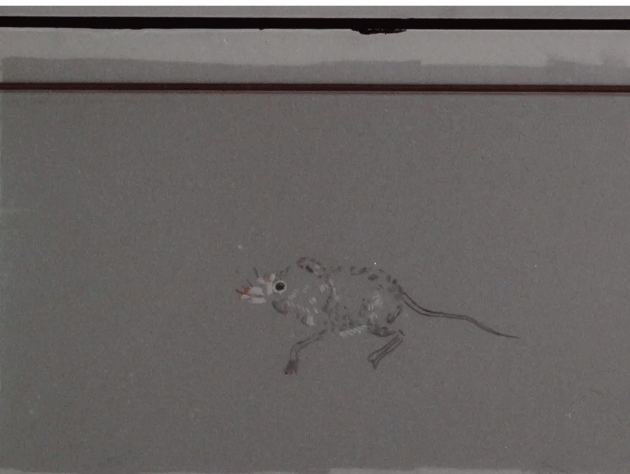 shrew_film.gif