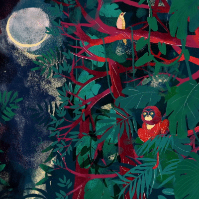 MoreThan_forest.gif